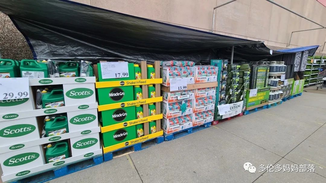 Costco不甘寂寞放大招：户外卖绿植，内附大量细节生图及种植经验分享