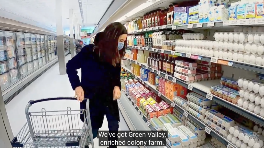 有机鸡蛋更有营养？测试了14种鸡蛋，又交智商税了吗......