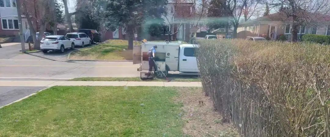 抓3只浣熊花了1200刀，每天都在被干脆面教育重新做人！