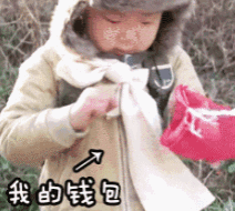疯狂的苗圃探店系列：多年生宿根和高颜值网红绿植的卖场大秀