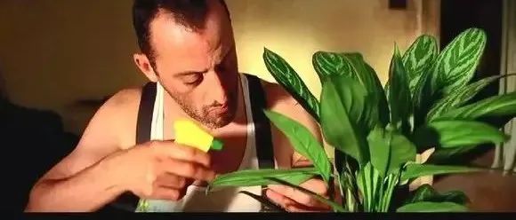 不是什么泥巴都能种花!为了找土,你拼了吗? 不是什么泥巴都能种花!为了找土,你拼了吗?