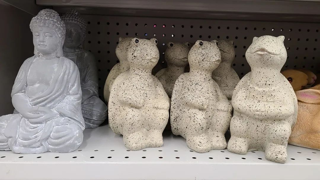 探店Dollarama：“霸道总裁”一枝花逛一元店，反向带货？