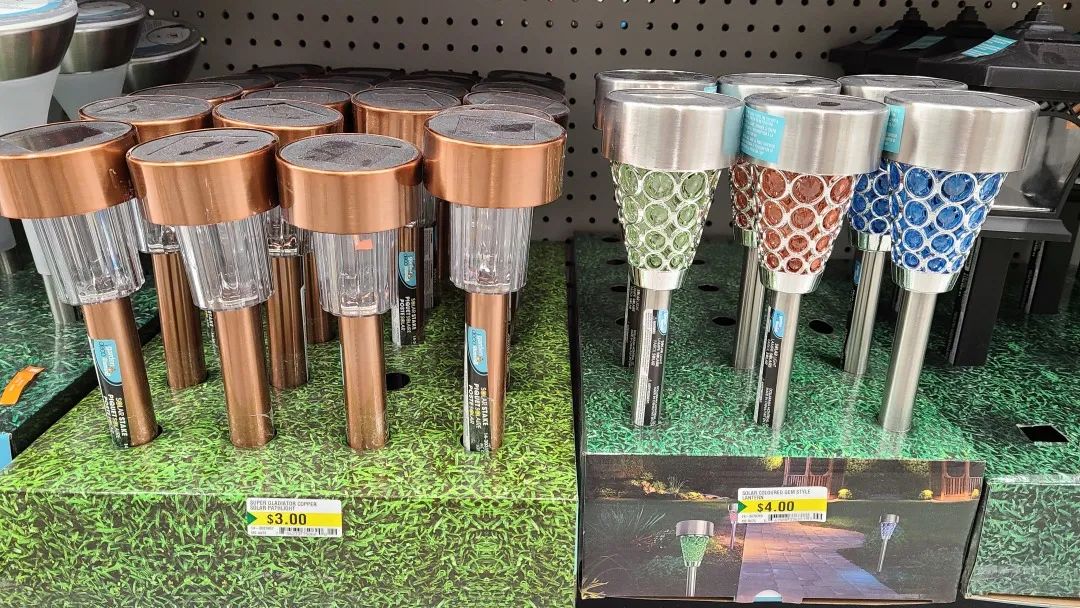 探店Dollarama：“霸道总裁”一枝花逛一元店，反向带货？