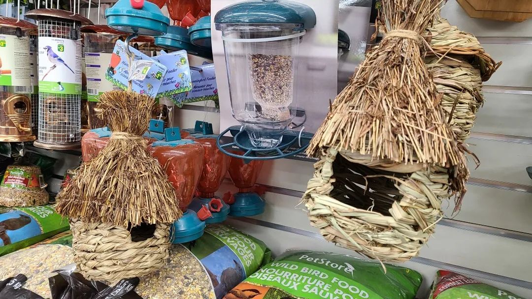 探店Dollarama：“霸道总裁”一枝花逛一元店，反向带货？