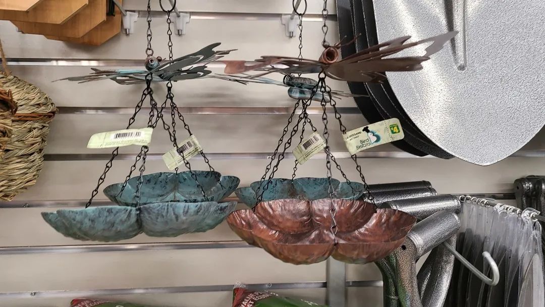 探店Dollarama：“霸道总裁”一枝花逛一元店，反向带货？