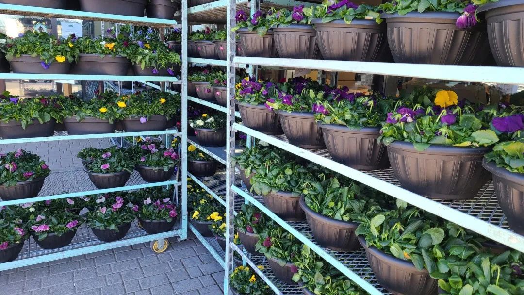 把超市玩成网红打卡地：深度探店高颜值超市Village Grocer