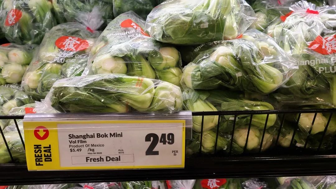 【探店】这家不是华超更似华超的Freshco，连猪大肠都有卖！