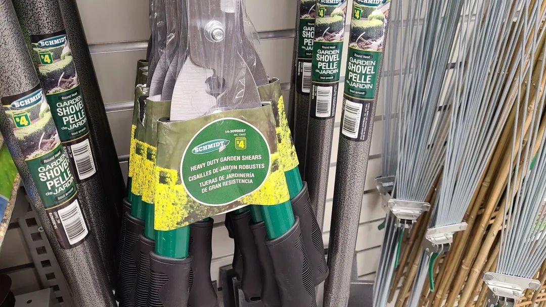 探店Dollarama：“霸道总裁”一枝花逛一元店，反向带货？