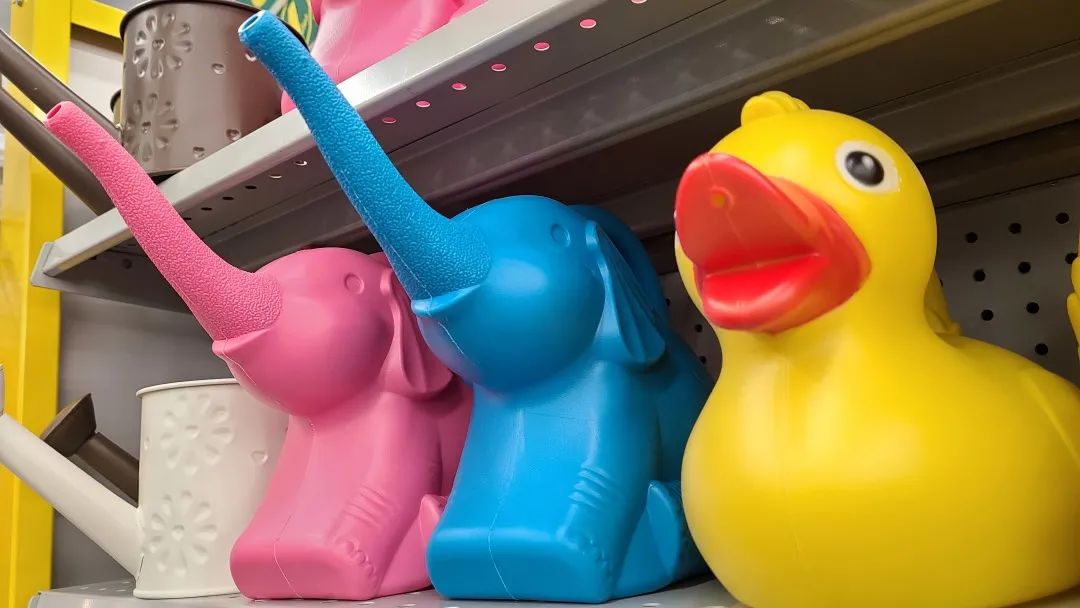 探店Dollarama：“霸道总裁”一枝花逛一元店，反向带货？