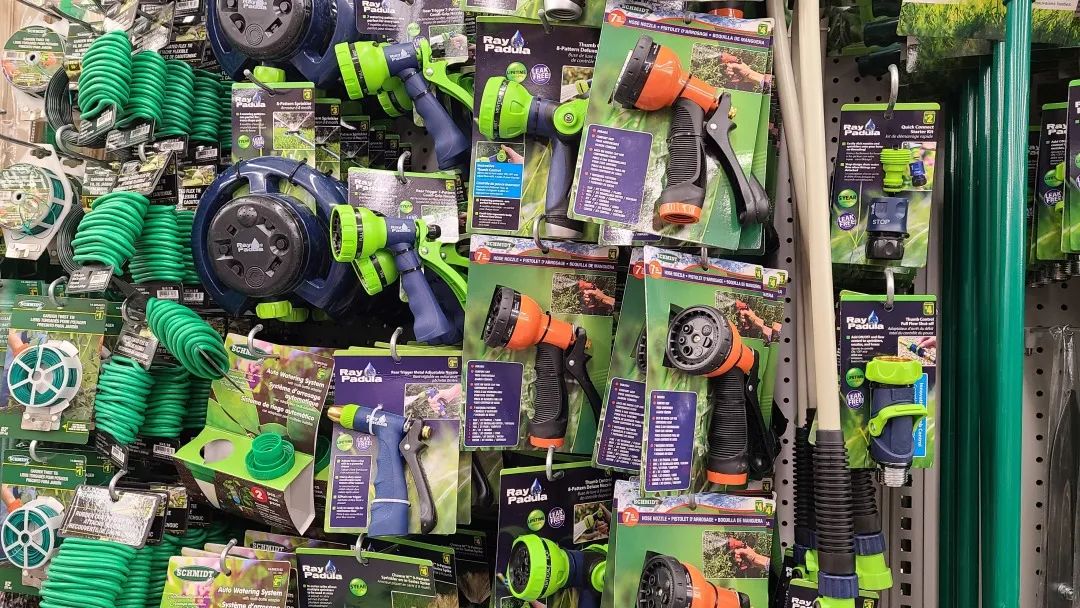 探店Dollarama：“霸道总裁”一枝花逛一元店，反向带货？