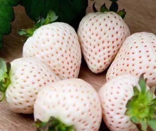 逼格与价格齐飞的网红水果：都是土里长出来的，咋就不一样？