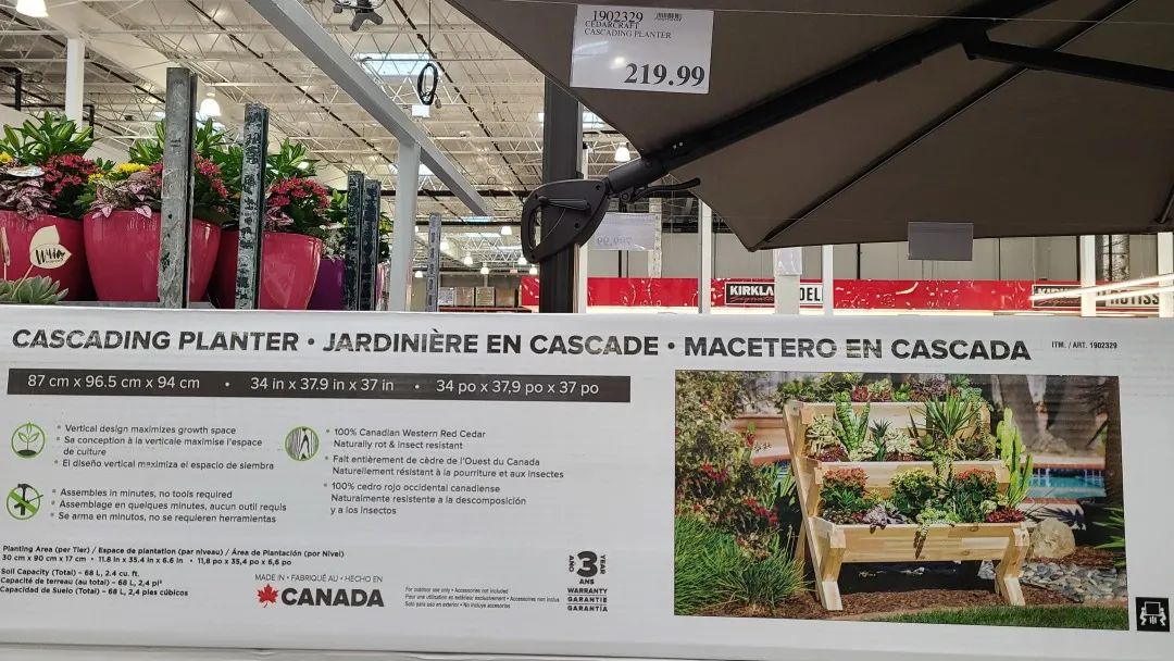 Costco绿植上新：比梅根野心还大的绣球，芦笋草莓统统有！