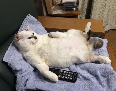 送防疫包！首单减$5！8个区满购包送！这个华超真是yyds