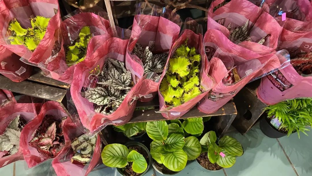 把超市玩成网红打卡地：深度探店高颜值超市Village Grocer