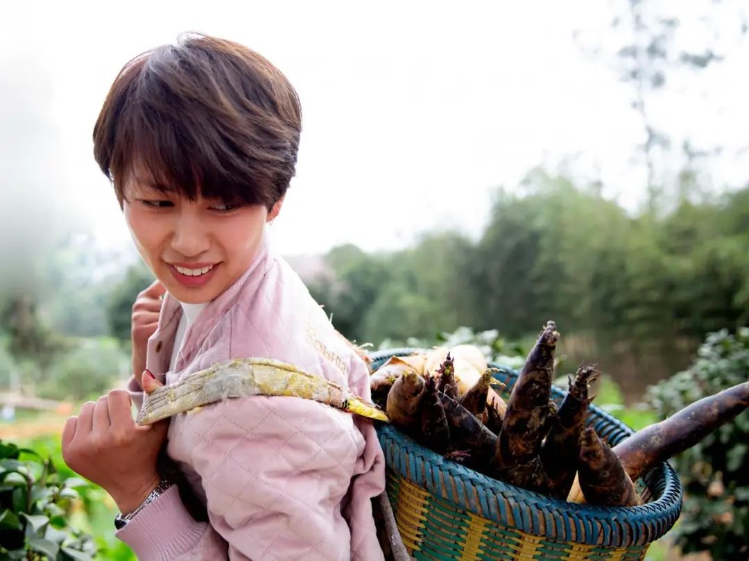 “山上的笋都被你夺完了”！春天就是吃笋的季节！