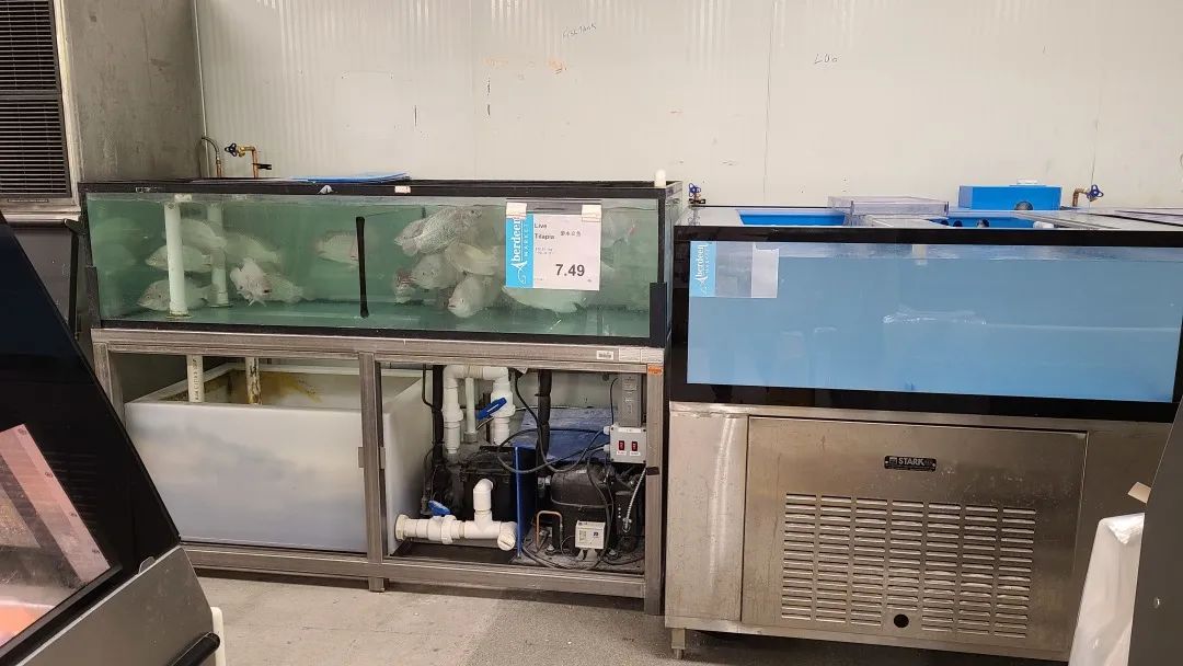 【探店】这家不是华超更似华超的Freshco，连猪大肠都有卖！