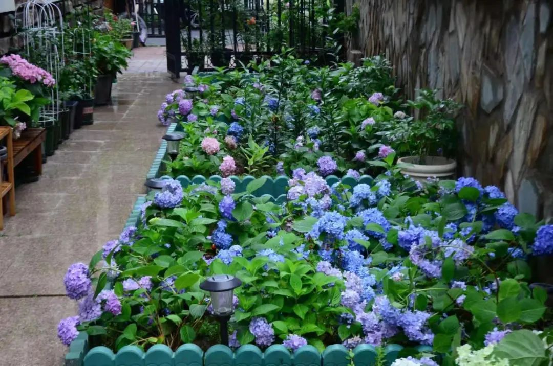 不是什么泥巴都能种花!为了找土,你拼了吗? 不是什么泥巴都能种花!为了找土,你拼了吗?