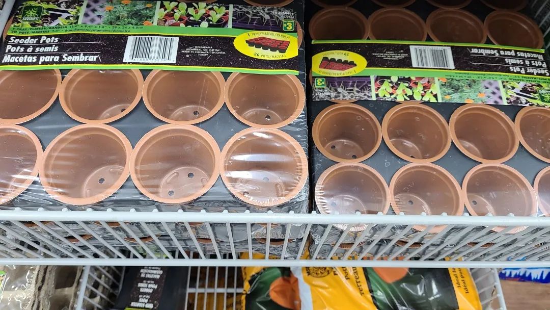 探店Dollarama：“霸道总裁”一枝花逛一元店，反向带货？