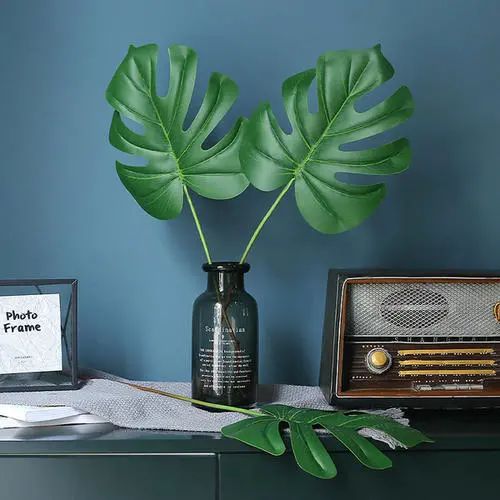 放过发财树和富贵竹，这些撩人的绿植，让你的家INS风满满！