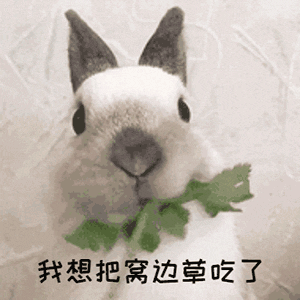 用生命尝一口春天的味道，今天你挖野菜了吗？