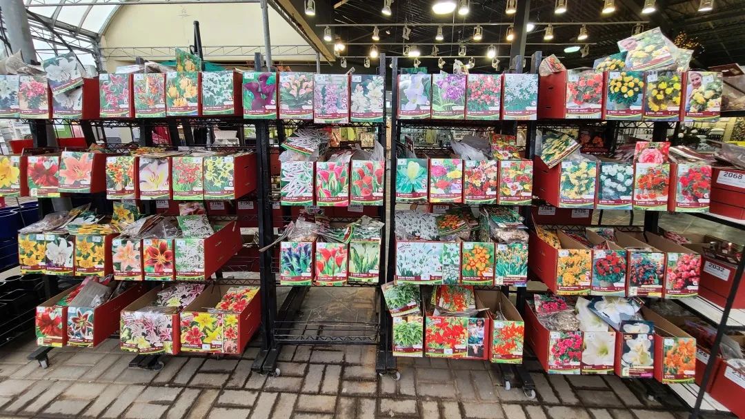 探店：在封城中求生存的苗圃，仍骄傲地营业中！