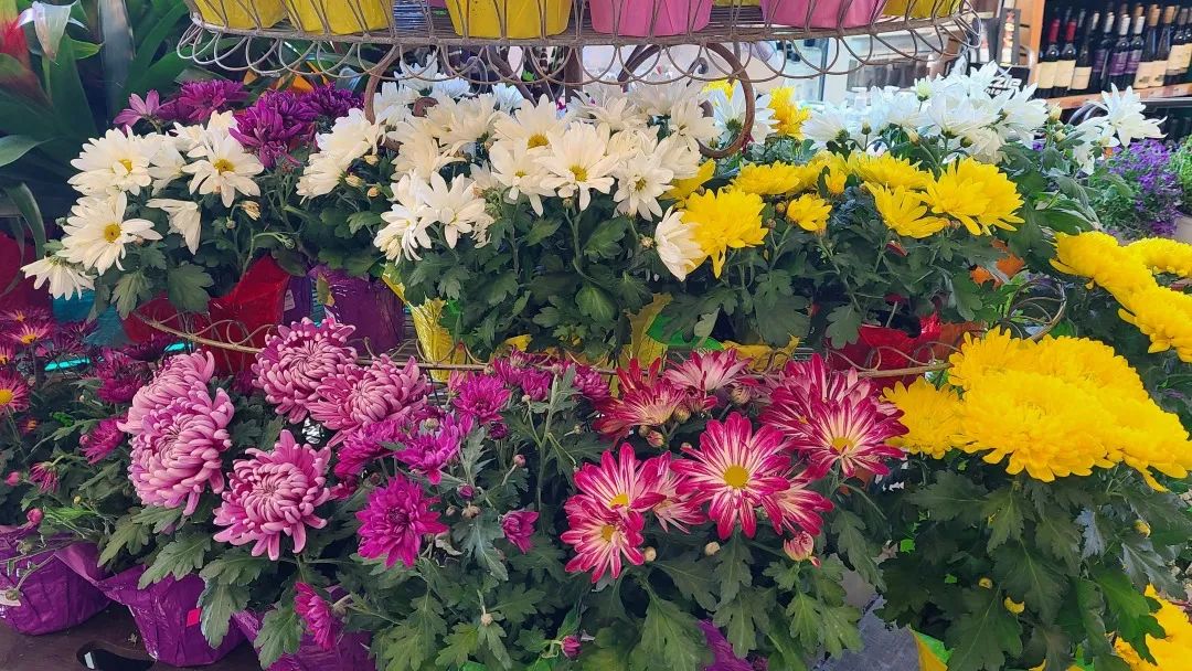 把超市玩成网红打卡地：深度探店高颜值超市Village Grocer