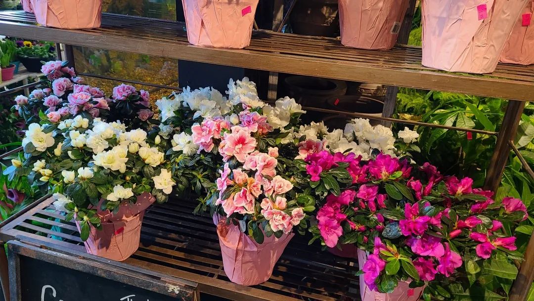 把超市玩成网红打卡地：深度探店高颜值超市Village Grocer