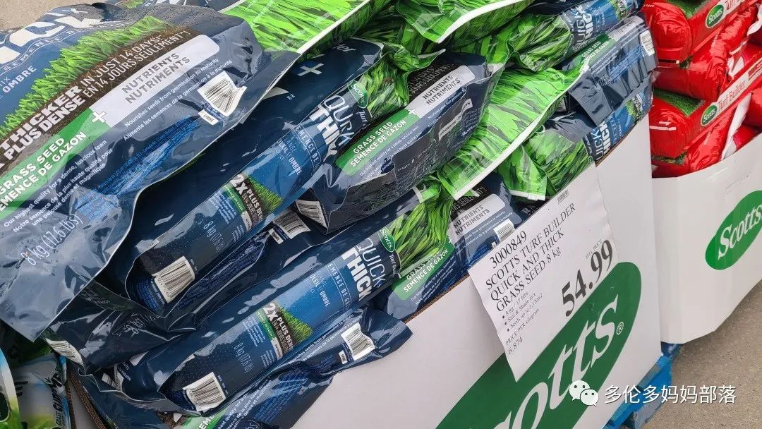 Costco不甘寂寞放大招：户外卖绿植，内附大量细节生图及种植经验分享
