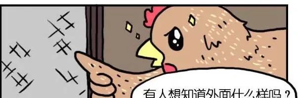 有机鸡蛋更有营养？测试了14种鸡蛋，又交智商税了吗......