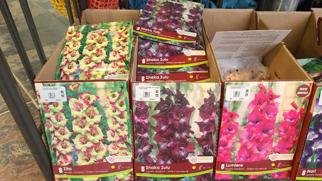 探店：在封城中求生存的苗圃，仍骄傲地营业中！