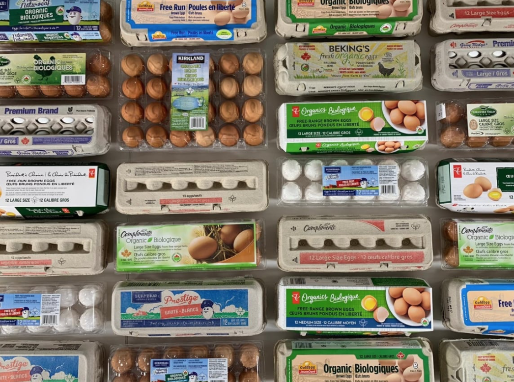 有机鸡蛋更有营养？测试了14种鸡蛋，又交智商税了吗......