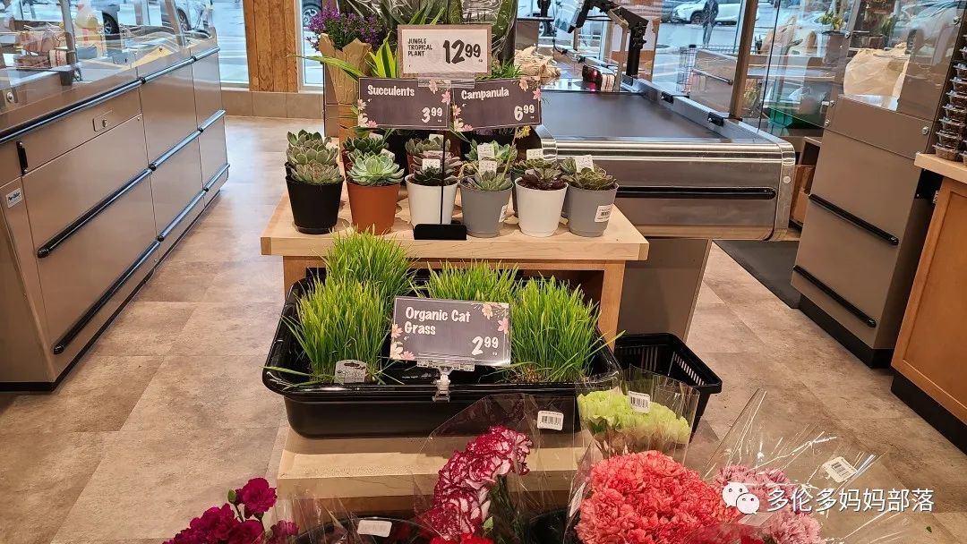 加拿大的缺德舅Farm Boy新开超市探店：忽然懂了它的贵