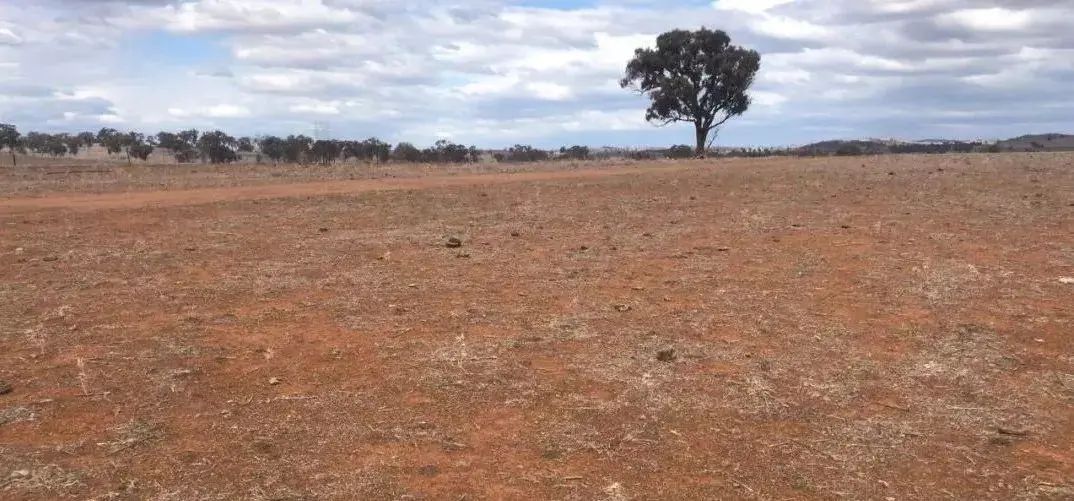 不是什么泥巴都能种花!为了找土,你拼了吗? 不是什么泥巴都能种花!为了找土,你拼了吗?