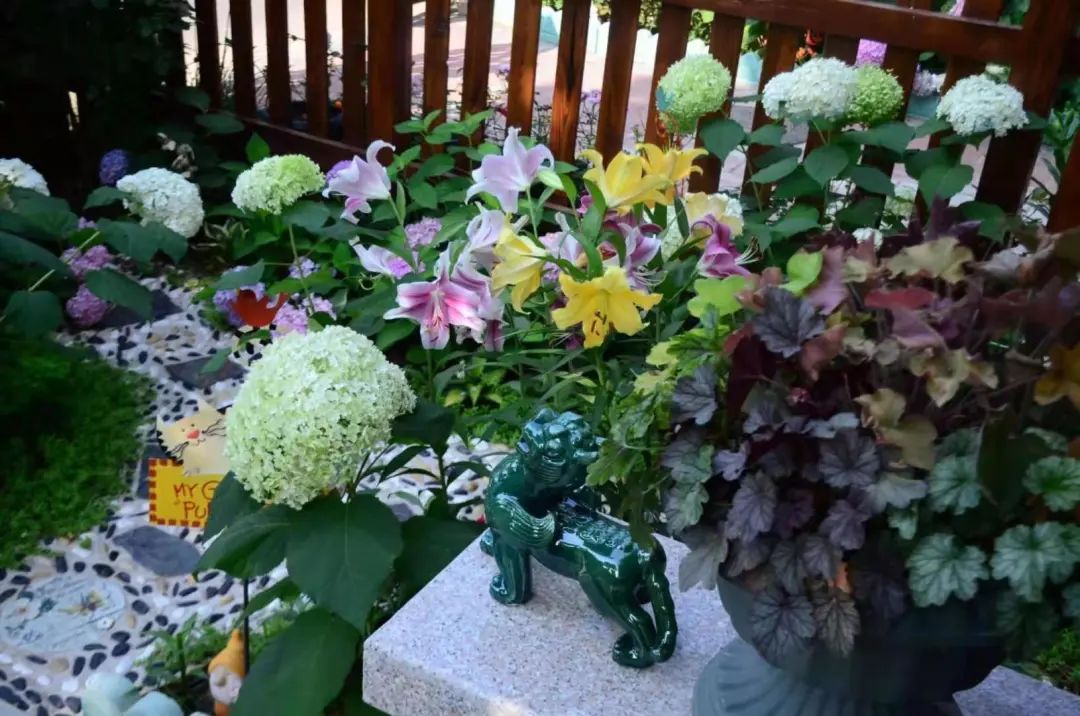 不是什么泥巴都能种花!为了找土,你拼了吗? 不是什么泥巴都能种花!为了找土,你拼了吗?