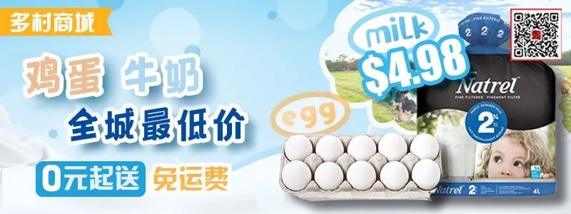 探店Dollarama：“霸道总裁”一枝花逛一元店，反向带货？