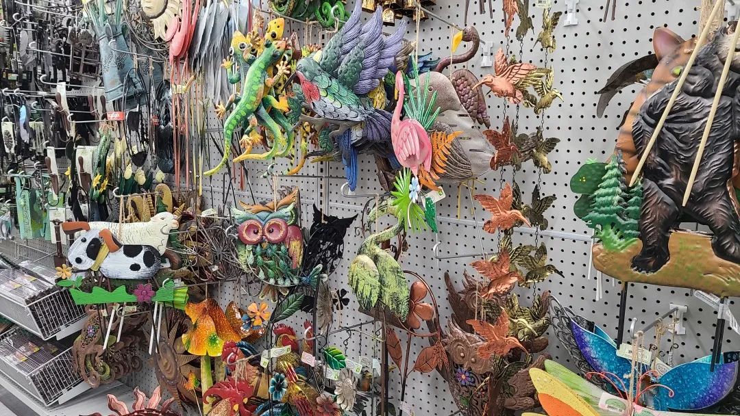 探店Dollarama：“霸道总裁”一枝花逛一元店，反向带货？