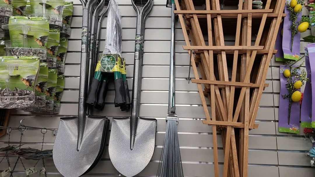 探店Dollarama：“霸道总裁”一枝花逛一元店，反向带货？