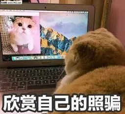 遛娃不踩坑：网红笼子公园火到出圈，千万别带娃去打卡了
