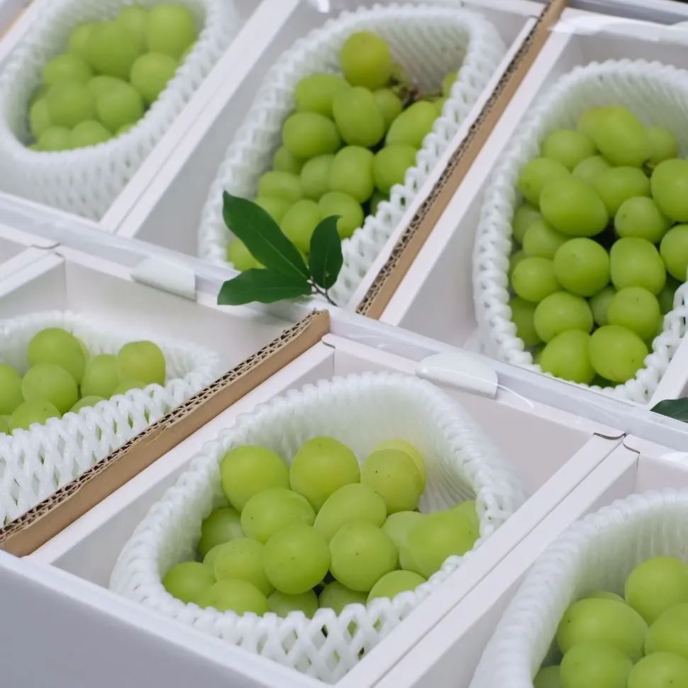 逼格与价格齐飞的网红水果：都是土里长出来的，咋就不一样？