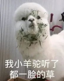 用生命尝一口春天的味道，今天你挖野菜了吗？