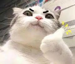 送防疫包！首单减$5！8个区满购包送！这个华超真是yyds