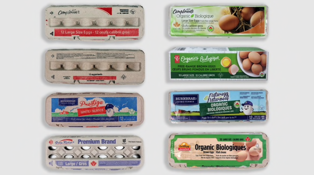 有机鸡蛋更有营养？测试了14种鸡蛋，又交智商税了吗......