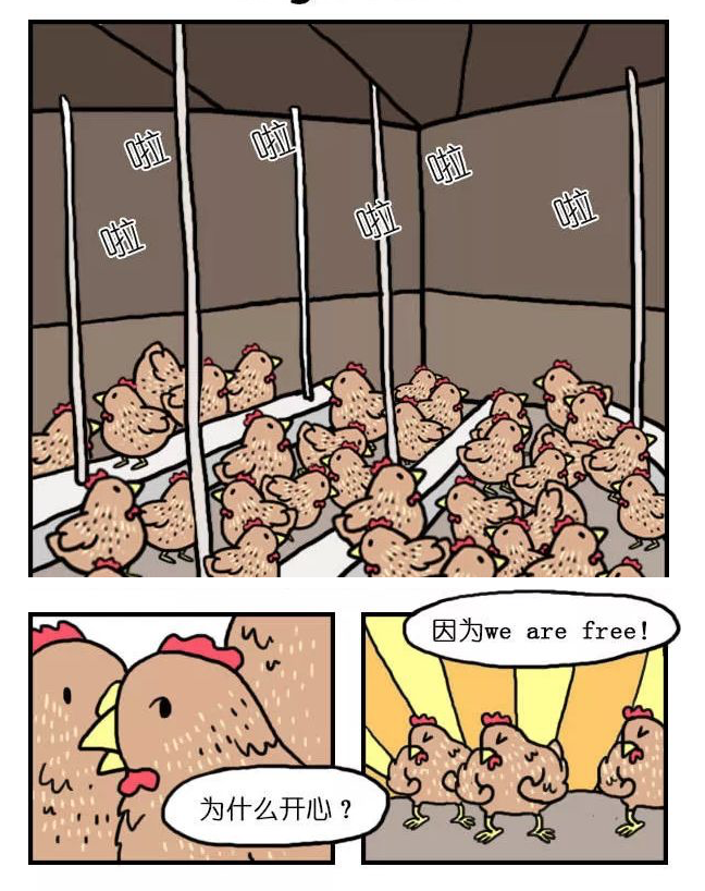 有机鸡蛋更有营养？测试了14种鸡蛋，又交智商税了吗......