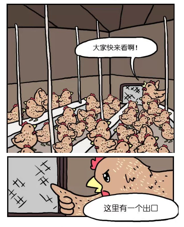 有机鸡蛋更有营养？测试了14种鸡蛋，又交智商税了吗......