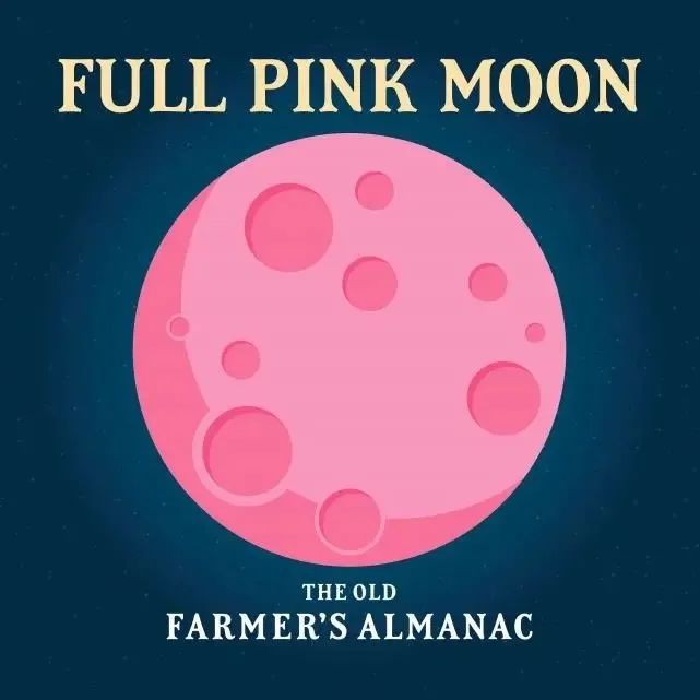 抓3只浣熊花了1200刀，每天都在被干脆面教育重新做人！