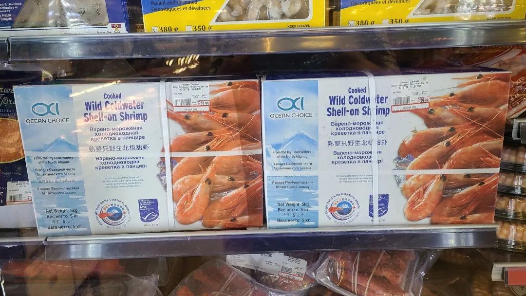 【探店】这家不是华超更似华超的Freshco，连猪大肠都有卖！