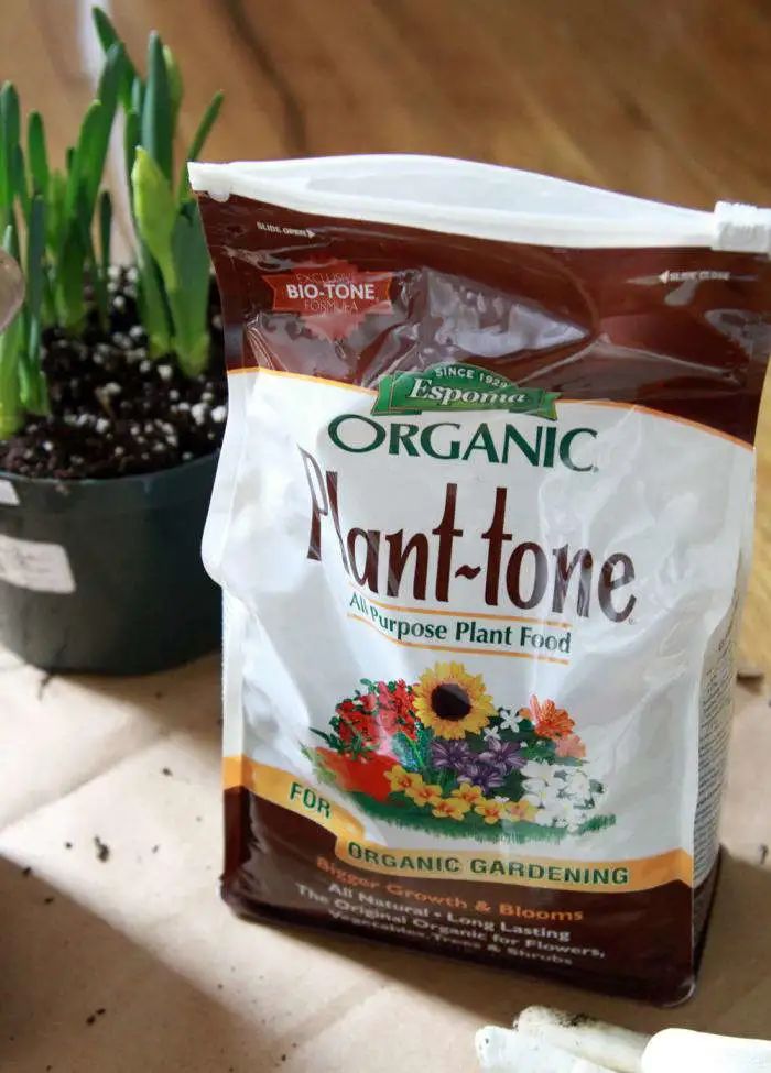 不是什么泥巴都能种花!为了找土,你拼了吗? 不是什么泥巴都能种花!为了找土,你拼了吗?