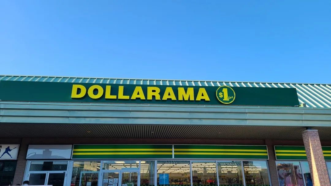 探店Dollarama：“霸道总裁”一枝花逛一元店，反向带货？