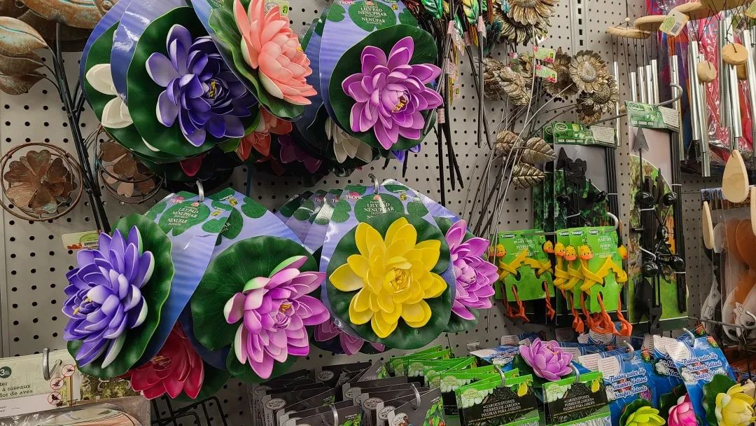 探店Dollarama：“霸道总裁”一枝花逛一元店，反向带货？