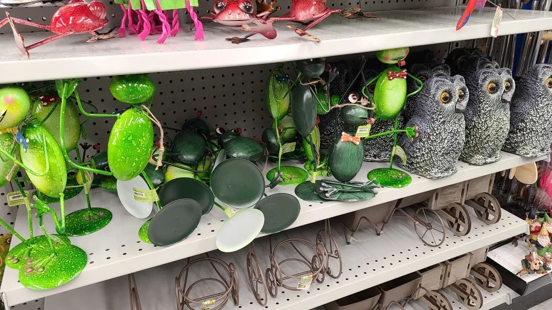 探店Dollarama：“霸道总裁”一枝花逛一元店，反向带货？